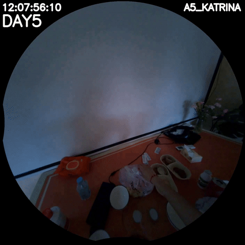 DAY5 12:07:58 egocentric frames